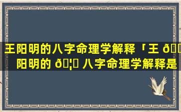 王阳明的八字命理学解释「王 🌺 阳明的 🦊 八字命理学解释是什么」